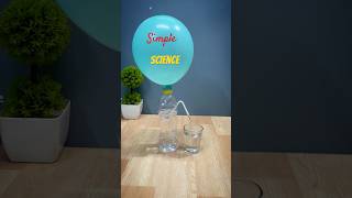 Simple science experiment