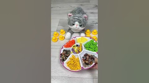 Cat Barsik Beads 🌈😻 Reverse video #cat #asmr #reverse #shorts