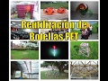 Reutilización de botellas - Reflexión