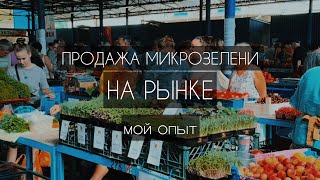 Мой опыт в продаже микрозелени на рынке. Как РЕАЛЬНО начать продавать. #микрозелень