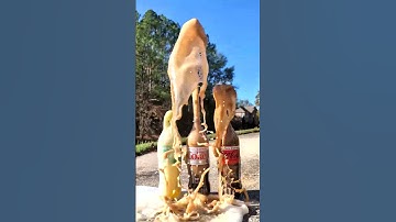 Popular Coke Sodas Vs Mentos (IN REVERSE) (Coke, Sprite, Fanta) #satisfying #experiment #asmr