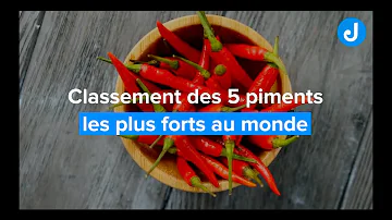 Quel est le nom du piment le plus fort du monde ?