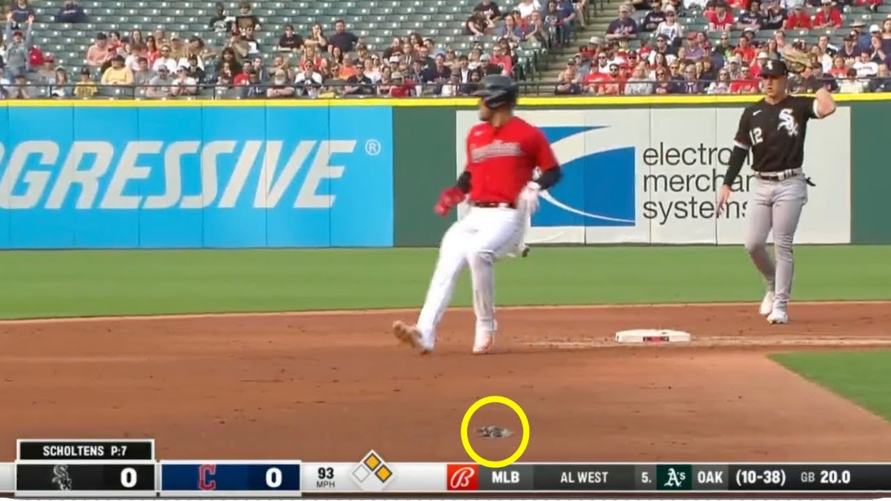 MLB Cleveland Guardians Batter Hits Bird With Ground Ball YouTube