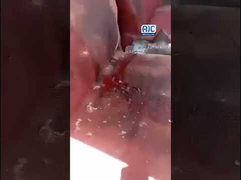 الانفلات الأمني يواصل حصد الأرواح في وادي وصحراء حضرموت... اغـ. ـتـ. ـيـ. ـال شيخ سلفي ومرافقه في العبر