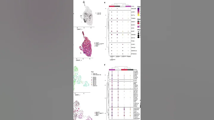 AI Cracks the Cancer Code A New Era of Epigenetic Insights. #Shorts