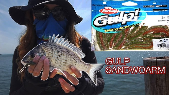 Fishing 2 inch Berkley Gulp Sandworm -- Where It All Began! (San Diego Bay)  