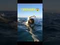 Ocean ke 3 most dangerous animals 😨 #shorts