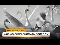 Документальность и художественность в фотографии | @Русское географическое общество