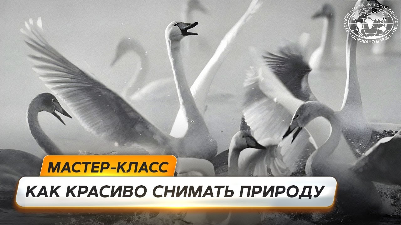 Документальность и художественность в фотографии