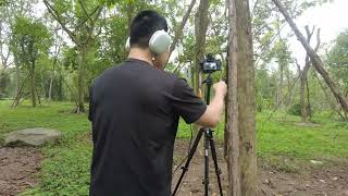 Vlog 1: A session of recording wind chime sounds