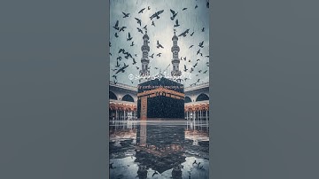 خشوع وطمأنينة 🌺 تلاوة مريحة بصوت عبد الرحمن مسعد🌹