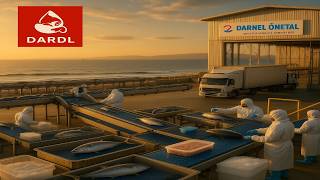 DARDL - Dardanel hissesinin 2026 yılının 6. ayına ait bilanço analizi