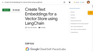 Create Text Embeddings for a Vector Store using LangChain GSP1233