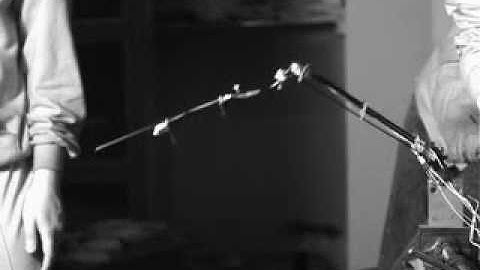 Bionic Flapping Wing Mechanism