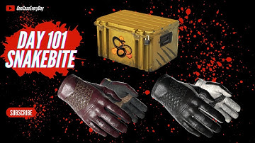 Opening a CS:GO case every day until i get a knife or gloves, Snakebite Case, Day 101
