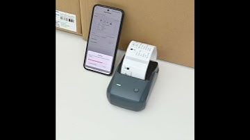 NIIMBOT B1 Thermal Logistics Label Printer, for Shipping Packages, Support Android, iPhone, Windows