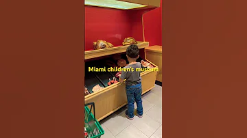 Miami Children S Museum 
