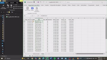 Carga Batch 2025 SUA SIROC en Excel | Carga Batch SUA | Carga Batch SIROC | Carga Batch en Excel