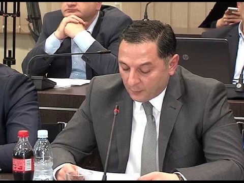 შს მინისტრი პარლამენტის გაერთიანებული კომიტეტების სხდომაზე