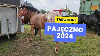 Ogólnopolskie Targi Końskie, Pajęczno maj  2024  Targ koni