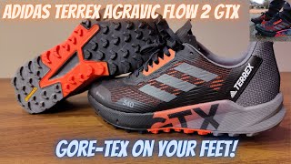 Adidas Terrex Agravic Flow 2 GTX - For When You Need To Stay Dry!