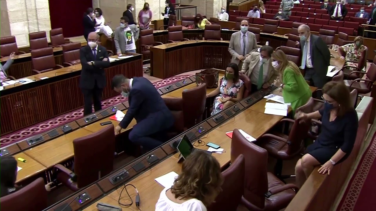 Rat attack! Andalusia&#39;s parliament proceedings disrupted by rodent; video  goes viral | Trending News,The Indian Express