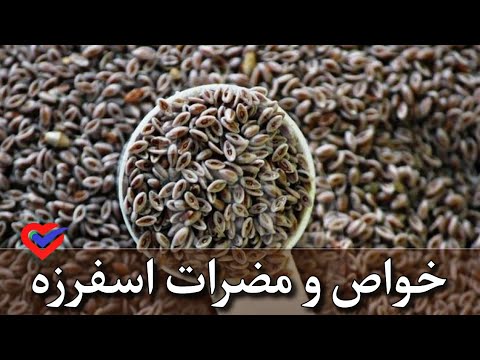 اسفرزه معجون ناشناخته برای هر درد بررسی و خواص و مضرات گیاه اسفرزه