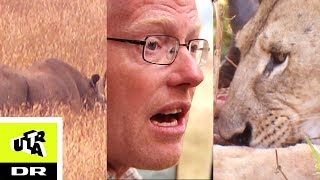 NÆSEHORNET | Sebastian og Afrikas vildeste dyr | Ultra