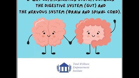 Gut Brain Connection for Autism