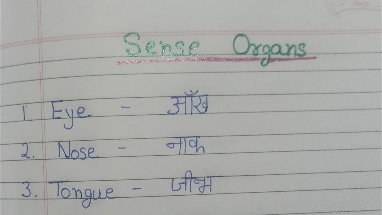 Sense organs name, Our sense organs name in English and Hindi, ज्ञान