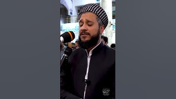 اواخر سورة ق للقارئ مصطفی فاروق الكردي