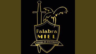 Yo Vivo Tan Feliz A Cristo Alabare En Vivo