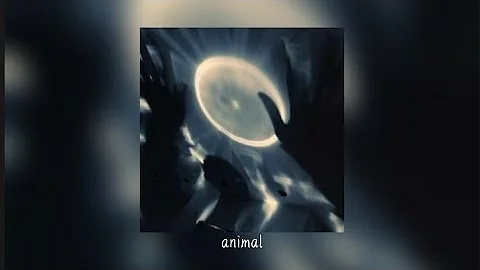 sir chloe - animal ( sped up & reverb • i'm asking nicely, give me what i want )