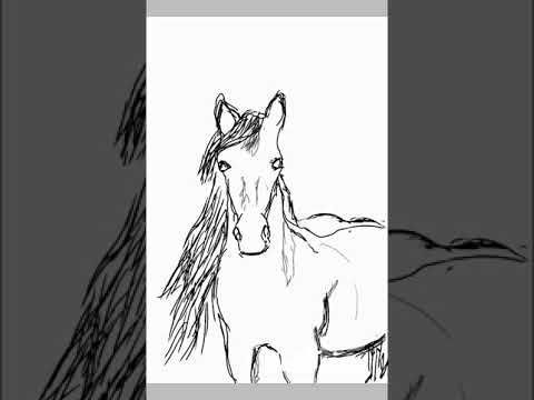 How to draw a horse - YouTube