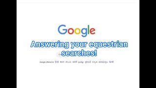 Answering Google&#39;s most asked equestrian questions!