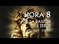 08 de 24 I Horas de la Pasión de Jesús, Luisa Piccarreta, Divina Voluntad.