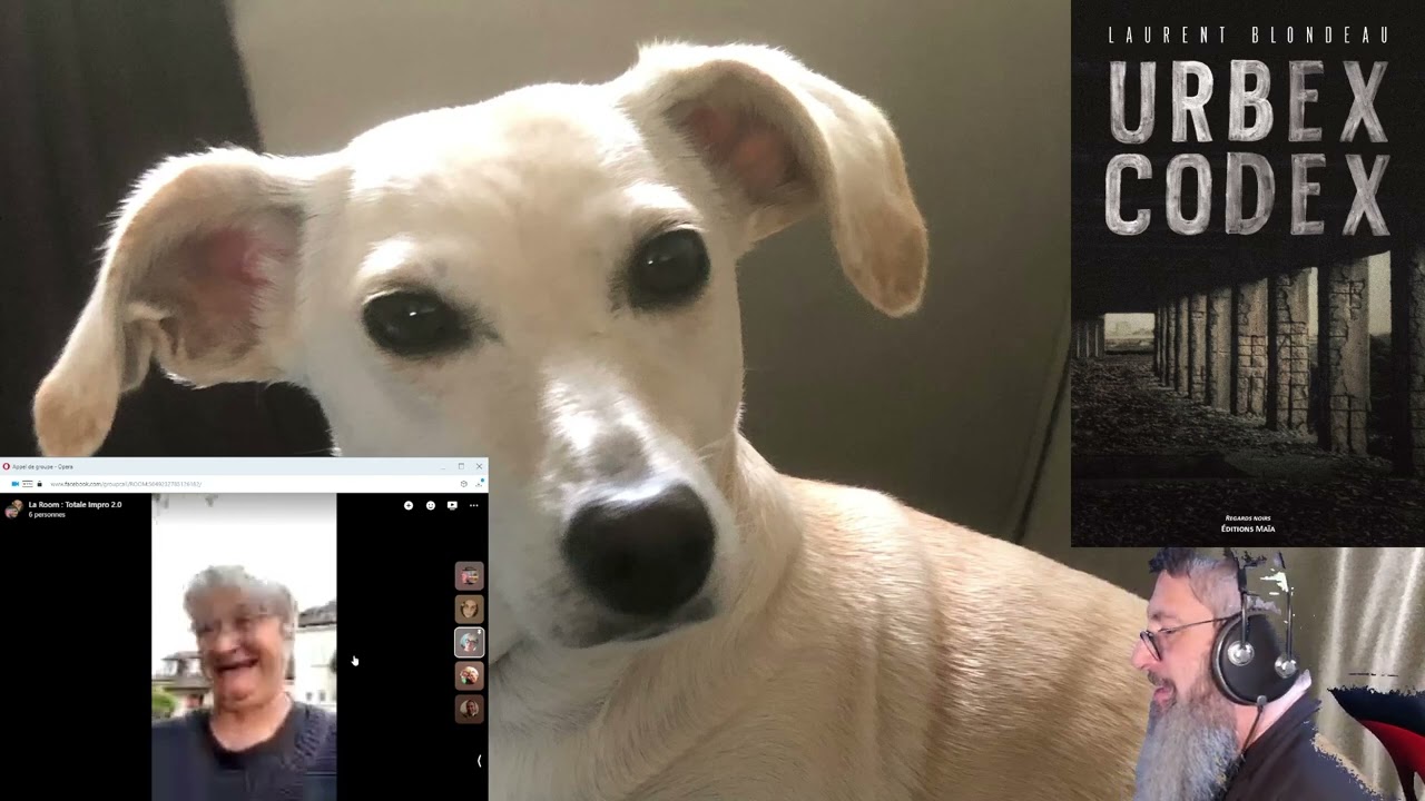 Les P’tits Marchés Dominique Reant : Totale Impro 2.0 - 24 septembre 2022