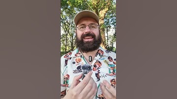 AI Assistant for Image, Video and Design?