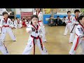 [태권도] 2017 파크리오  경희 태권도 승급 심사 -  태어로즈와  관장님의 시범 공연  Parkrio Kyunghee Taekwondo promotion screening