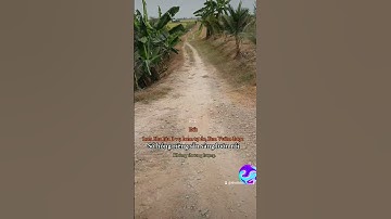 Bán 3ha đất lúa 3 vụ 70tr công tại huyện Mộc Hóa tỉnh Long An