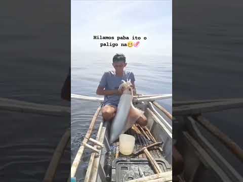 كلماري في منتصف الجبهة