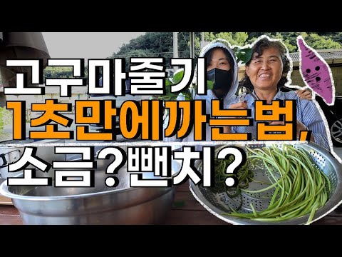 고구마 껍질 1초만에 초간단 쉽게까는법, 소금물? 뺀치? - Sweet Potato Vines - Youtube