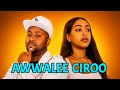 Awwalee Ciroo New Oromo Music 2026 Official Video 