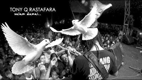 Tony Q Rastafara - Reggae Dot Com (Official Audio)