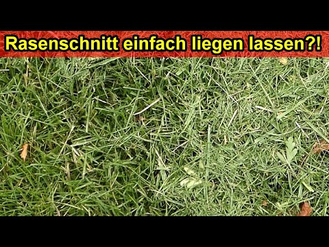 Video: Soll ich Grasschnitt entfernen?