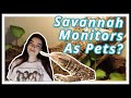 Do Savannah Monitors Make Good Pets?