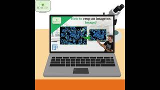 How to Crop an image on ImageJ  #imageanalysis #shorts #tutorial #imagej  #science