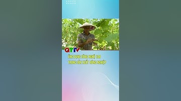 Ứng dụng công nghệ cao trong sản xuất nông nghiệp| QTTV #short