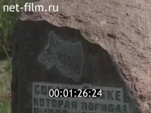 Сюжет «В Бобино установили памятник собаке» (2001 год