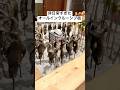 【非日常体験】オールインクルーシブで飲み放題&食べ放題ビュッフェが楽しめるホテル / 亀の井ホテル日光湯西川 #shorts